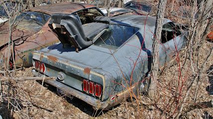 Junk Cars In Miami, Miami, Florida