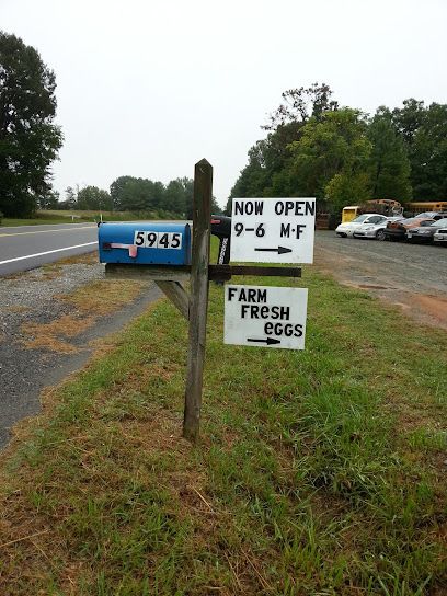 250 East Auto Recycling, Louisa, Virginia