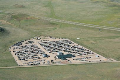 Mr R's Auto Salvage, Buffalo, Wyoming